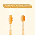 مسواک گیاهی و لثه شور 2 تیکه طلقی - تصویر 2