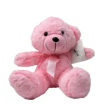 عروسک خرس نشسته آبرنگی 20 سانتی خارجی - تصویر 4