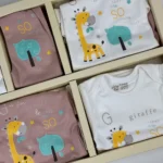 ست جعبه ای 19 تیکه فاینی Fayni سایز 0-3 - تصویر 3