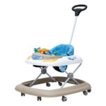 روروئک دلیجان مدل اسکای SKY - تصویر 2