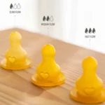 سرشیشه نوزاد بیبز Bibs مدل SLOW FLOW تکی و جفتی - تصویر 4