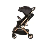 کالسه کاوالو Cavalo مدل جگوار دسته طلایی